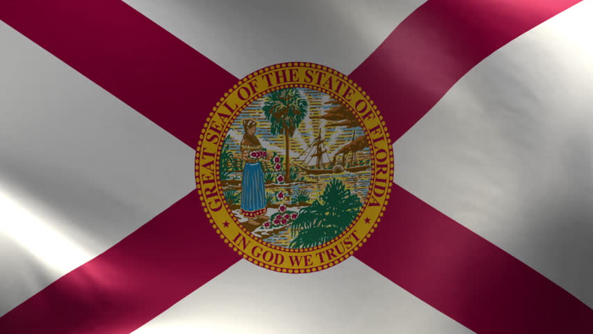 Florida US State flag waving perfect loop 4K