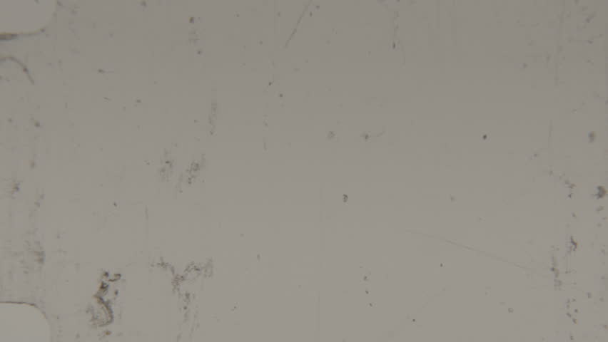 A classic light film overlay with the nostalgic texture of aged 8mm film, featuring subtle dust, scratches, and faded imperfections that create an authentic retro aesthetic