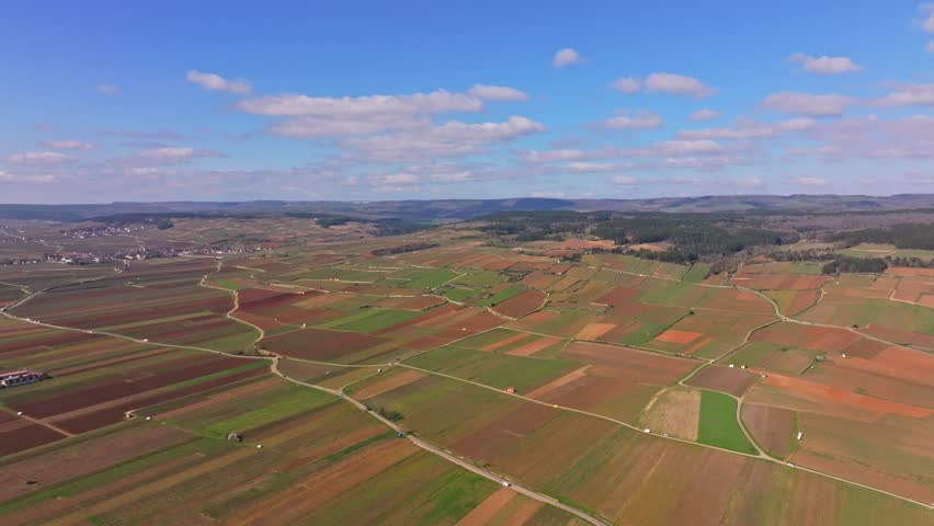 Spring sunlight over vineyard lines in Burgundy France