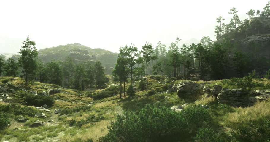 Sunlight bathes a tranquil valley filled with vibrant greenery and scattered rocks. Tall trees surround the area, creating a serene atmosphere in a natural landscape.