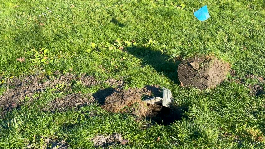 A section of green grass with a fresh hole and blue flag marker indicating recent digging activity or utility work.