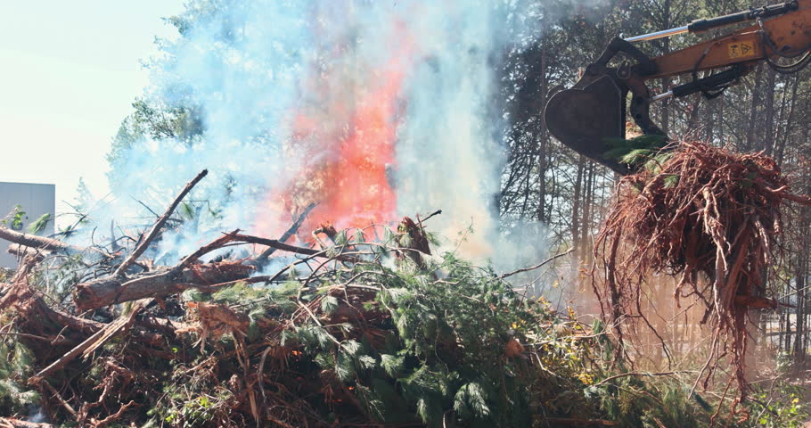 Large machinery clears branches and ignites a controlled fire, sending up bright flames and smoke into the blue sky.