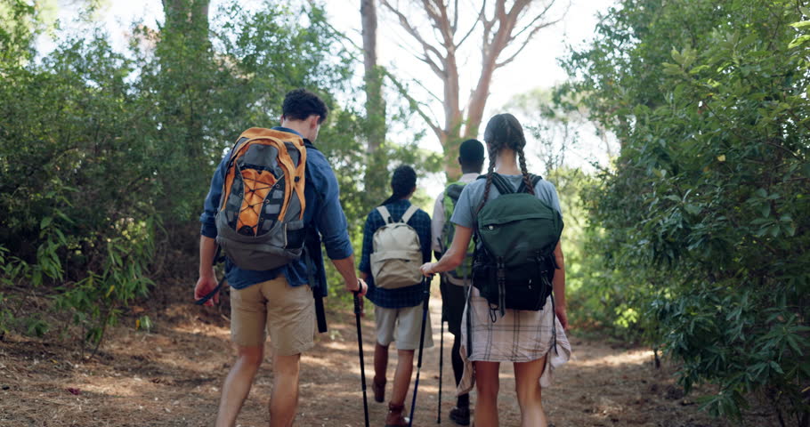 Nature, hiking and group of people in forest for activity, back and backpacking on vacation. Journey, sticks and friends trekking in woods for exploring, tourism or adventure on outdoor holiday.