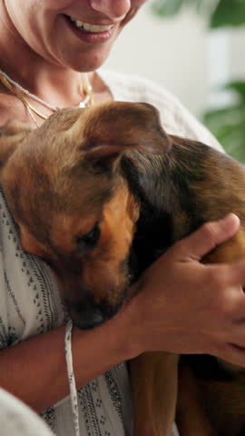 Home, person and love for dog, petting and owner with care for companion, bonding or domestic animal. Together, affection and rescue puppy with loyalty in house, relax or canine for emotional support