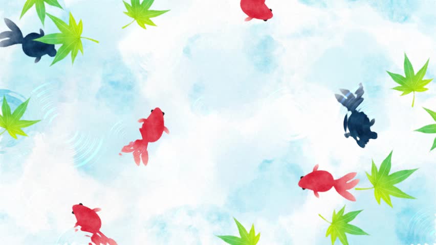 summer background with red and black goldfish swimming in water animation