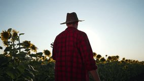 Farmer silhouette in sunflower field. Backlit farmer walking through sunlit sunflower field. Rural agriculture lifestyle at dawn. Silhouette of farmer in hat among sunflower crops. agriculture concept - Powered by Shutterstock - Get 15% off with code: PIKWIZARD15