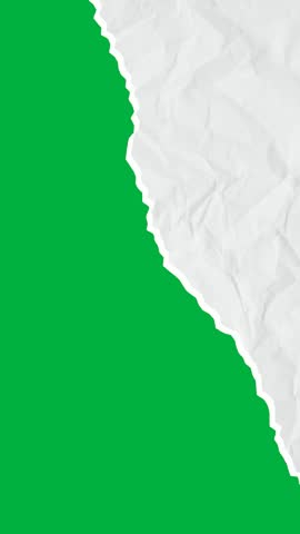 Shutterstock Video