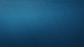 Clear blue ocean. Underwater shot of the smooth water surface - Powered by Shutterstock - Get 15% off with code: PIKWIZARD15