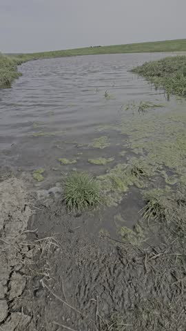 A river with a grassy area in the background