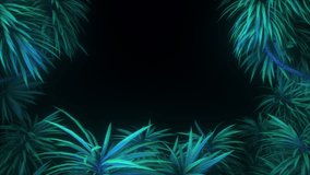 Frame of jungle trees swaying in a gentle breeze in a seamless loop. Isolated tropic plants in dark jungle with copy space. - Powered by Shutterstock - Get 15% off with code: PIKWIZARD15