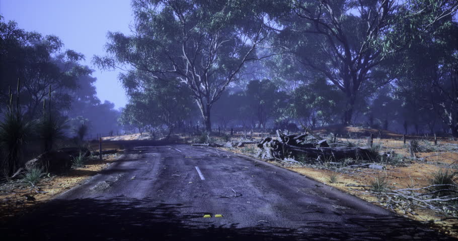 This country road winds through a sparse and unkempt landscape, lined with tall trees and scattered vegetation under a violet sky in the late afternoon hours.