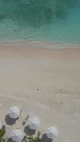 Aerial view of umbrellas, palm trees on the white sand beach. Tropical summer in Maldivian Republic. Seascape at sun day. Indian Ocean. Vertical video