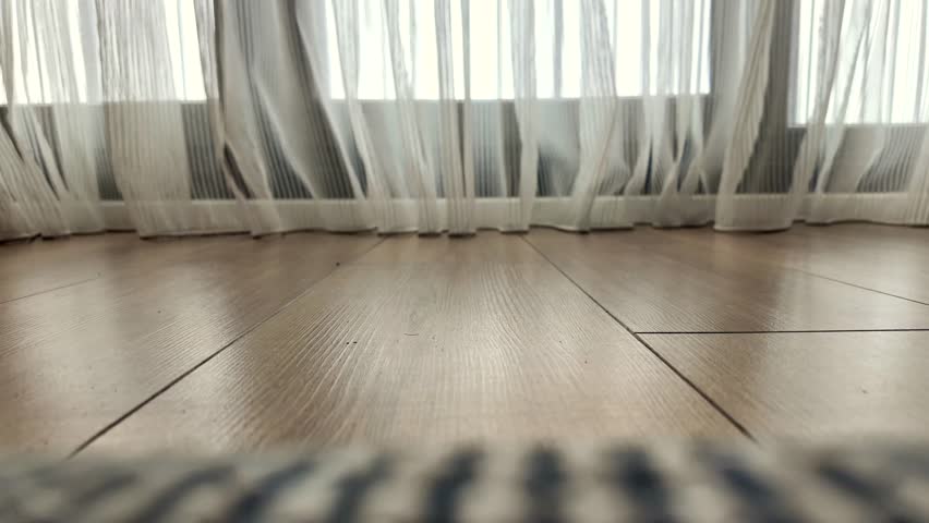 carpet texture background on wooden floor with copy space 