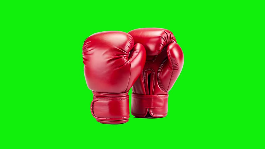 red boxing gloves green screen or chroma key animation