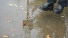 Black boot jumps into water puddle on wet paved path scattered with colorful autumn leaves and pine needles, ripples spreading across surface reflecting bare trees above during calm cold overcast day - Powered by Shutterstock - Get 15% off with code: PIKWIZARD15