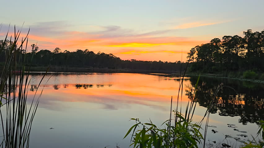 Evening landscape over forest lake water in southern tropical wetlands. Amazing Florida nature at sunset