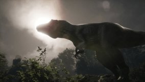 High-quality cinematic footage of realistic dinosaurs moving through lush jungles and prehistoric landscapes. Each scene is beautifully lit with dramatic sunlight and deep shadows, perfect for use in  - Powered by Shutterstock - Get 15% off with code: PIKWIZARD15
