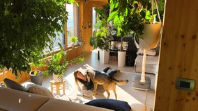 Female student is reading book on the floor of a cozy, sunlit living room when her affectionate dog approaches for cuddle. Moment of joy and companionship, surrounded by lush greenery and soft light. - Powered by Shutterstock - Get 15% off with code: PIKWIZARD15