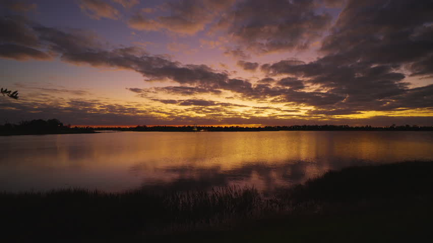 Tropical lake vegetation in southern swamp at sunset. Evening landscape of Florida wetland flora