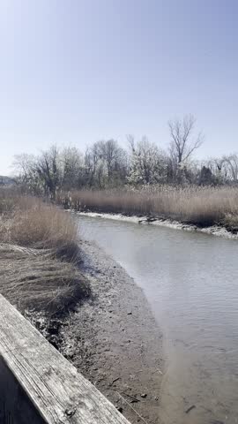 A marsh at low tide in early spring in New Jersey, USA, as viewed from a boardwalk bridge. There are marsh grasses and reeds lining the stream. Taken in vertical video 9:16.