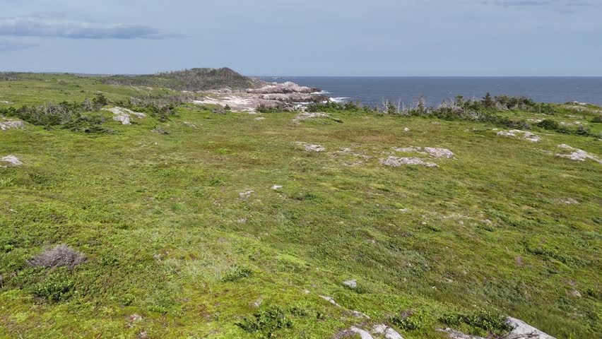 Breathtaking Aerial View of Rugged Gooseberry Cove Coastline in Cape Breton, Nova Scotia