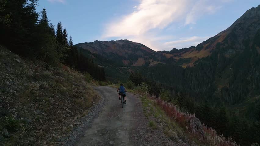 Mountain Biker on Scenic Gravel Road at Sunset in British Columbia Forest