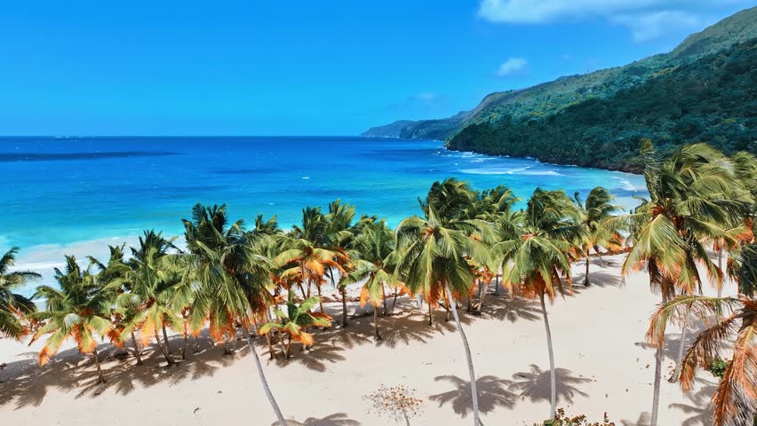 Aerial view of picturesque Caribbean coastline with wild palm beach. Blue ocean background near green tropical mountainous island on sunny day. Bird's eye view of tropical nature landscape.