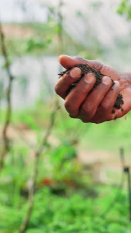 Agriculture, farm and farmer hands with soil inspection for crop management, compost health and quality assurance. Sustainable business, person and fertilizer for plant growth and natural nutrients