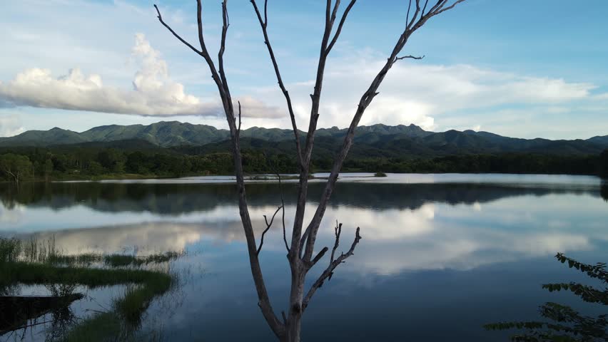 Dead tree in foreground of reservoir reflecting cloudy sky and mountain range in the evening – peaceful nature landscape