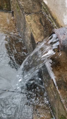 Spring source in forest closeup view relax time 