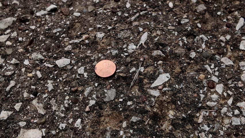 Picking up penny from ground