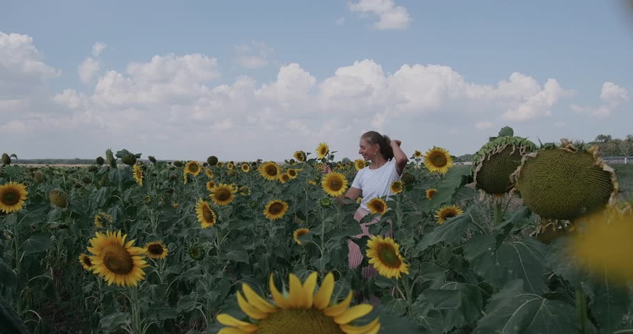 A girl in a pink skirt and a white T-shirt walks through a field of blooming yellow sunflowers. A woman dances, rejoices, smiles, enjoys life, warmth, summer, the sun. High quality FullHD footage
