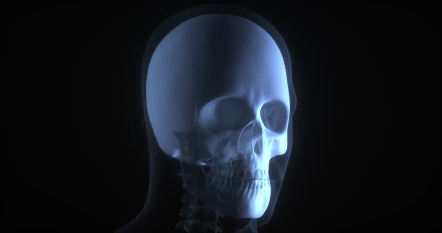 Skull or cranium in human body. X Ray. Loop