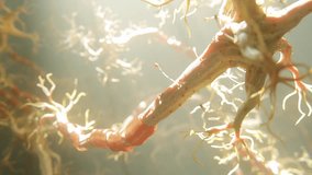 Neuron Structure and Anatomy Video in HQ | Neuronal firing patterns in human brain - Powered by Shutterstock - Get 15% off with code: PIKWIZARD15