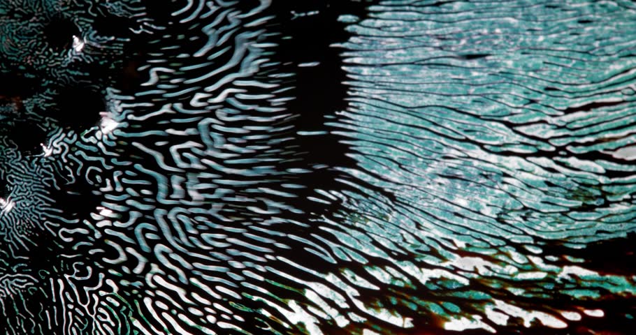 Alcohol ink flowing and mixing with other colors, creating abstract patterns and shapes with a teal and black color palette, resembling microscopic shots of organic textures and formations