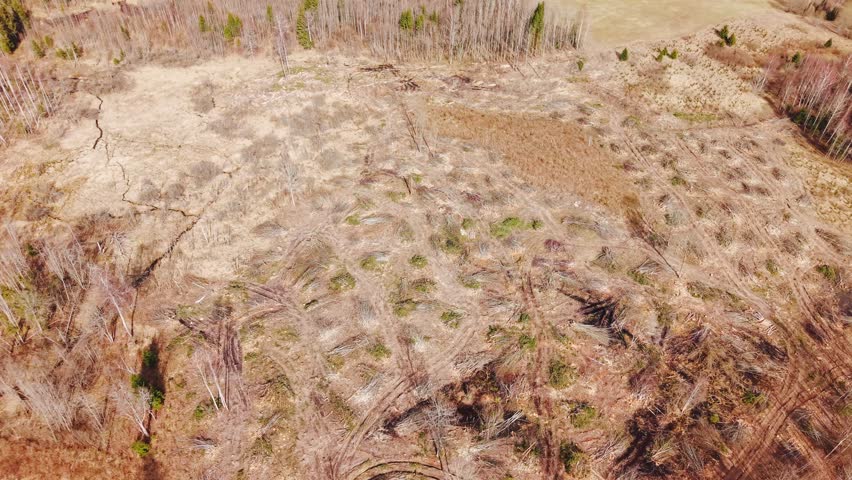 Aerial flyover of stripped forest landscape with visible terrain and scattered tree stumps