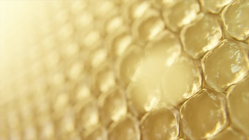 Skin Cells getting repaired by serum | Gold serum molecules through the skin layer and reduce up saggy skin of the skin cell