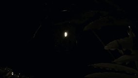 Fireflies around a lamp post - Powered by Shutterstock - Get 15% off with code: PIKWIZARD15