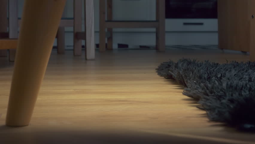 Close-Up of Vacuum Cleaner Cleaning Under Furniture on Hardwood Floor at Home
