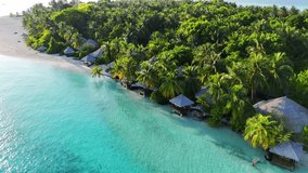 Aerial view zoom out of tropical Maldives island with wooden pier surrounded by turquoise sea, bright daylight and lush greenery, summer escape, travel agency, hotel resort - Powered by Shutterstock - Get 15% off with code: PIKWIZARD15