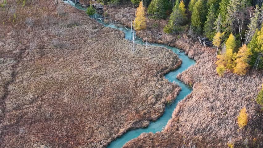 Aerial drone view of a winding stream cutting through brown marshland and forest edge in Michigan’s Upper Peninsula