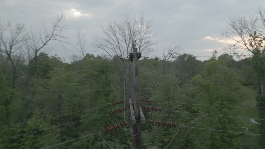 bird sitting on powerline post