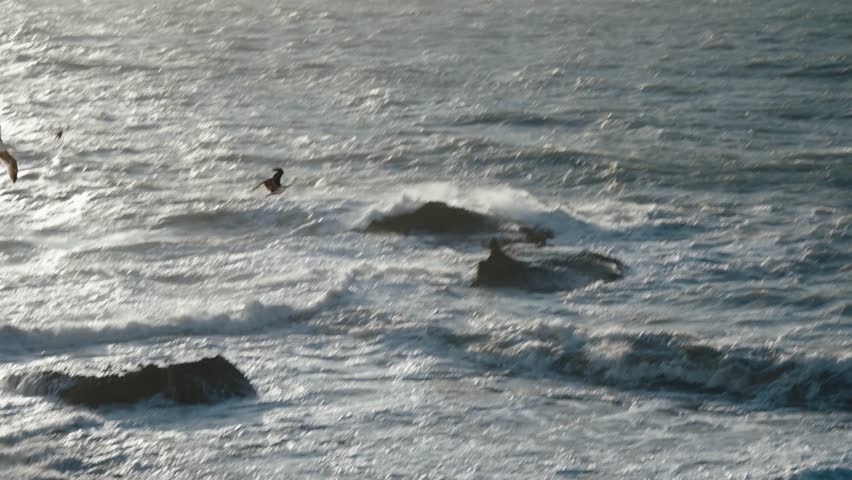 Seagulls Flying Over The Sea With Rough Waves In Essaouira, Morocco. - wide shot