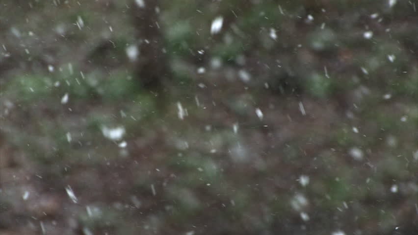 Gentle snowfall.