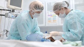 Veterinarians operating on a small dog in an operating room at a veterinary clinic. Veterinarians during treatment for an injury or surgery. Anesthesia and pain relief for animals - Powered by Shutterstock - Get 15% off with code: PIKWIZARD15