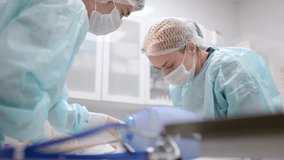 Veterinarians operating on a small dog in an operating room at a veterinary clinic. Veterinarians during treatment for an injury or surgery. Anesthesia and pain relief for animals - Powered by Shutterstock - Get 15% off with code: PIKWIZARD15