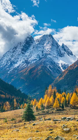 Shutterstock Video
