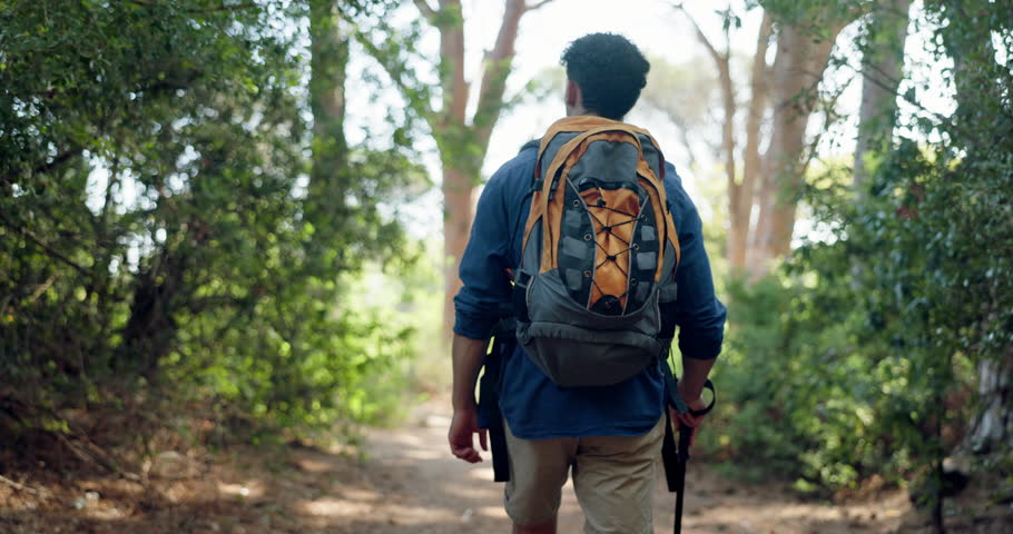 Backpack, hiking and man with fitness, travel and nature with weekend break, recreation and walking. Person, outdoor and hiker in forest, stick and hobby with journey, wellness and back with health