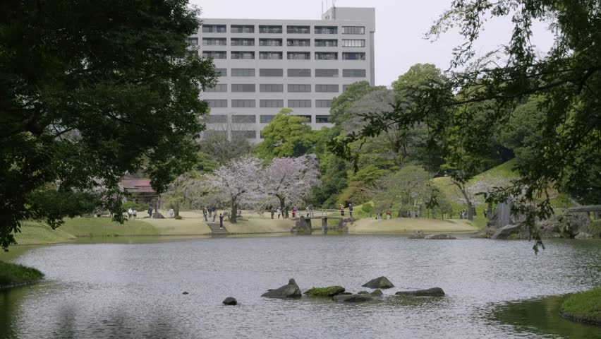 Famous Japanese Landscape garden in Tokyo during Sakura