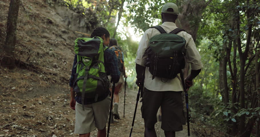 Mountain, hiking and group of friends in forest for activity, back and backpacking on vacation. Nature, sticks and people trekking in woods for exploring, tourism or adventure on outdoor holiday.
